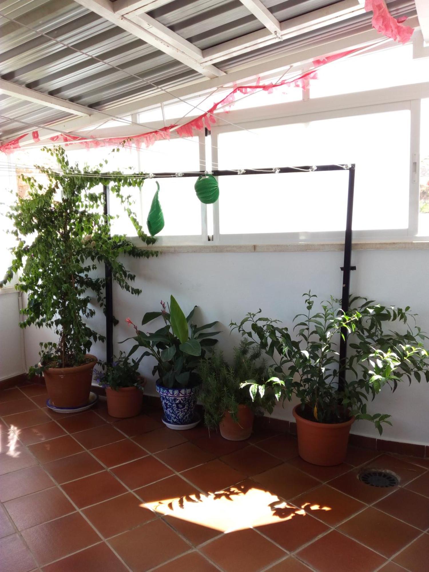 Hostal Rural Montual Los Baños Dış mekan fotoğraf